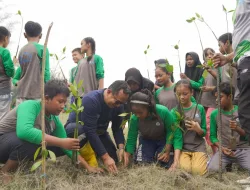 Dukung Program Sekolah Adiwiyata, PT Timah Tbk Bersama Pelajar di Kabupaten Bangka Tanam 3000 Bibit Mangrove di Pantai Takari