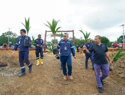 Dukung Program Ketahanan Pangan Nasional, PT Timah Bangun Tanjung Ular Farm Estate