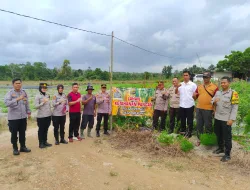 Polsek Pemali dan Polres Bangka Tinjau Lahan Percontohan Pertanian di Dusun Sigambir