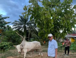 RDY Serahkan Sapi Kurban ke Warga Kemuja dan Parit Padang