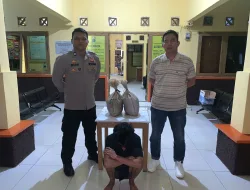 Curi Pasir Timah di Tambang CV. Mantan Pekerja Diamankan Polsek Tempilang