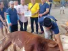 Partai Golkar Kota Bagikan 290 Paket Daging Kurban
