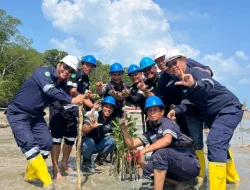 Terus Berkelanjutan, PT Timah Jalankan Program Pengelolaan Ekosistem Pesisir 