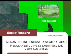 Menanti Opini Pengusaha Sawit : Apakah Menolak Dituding Sebagai Perusak Kawasan Hutan