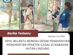 KPHL Belantu Mendanau Temukan Praktik Ilegal di Kawasan Wisata Batu Mentas