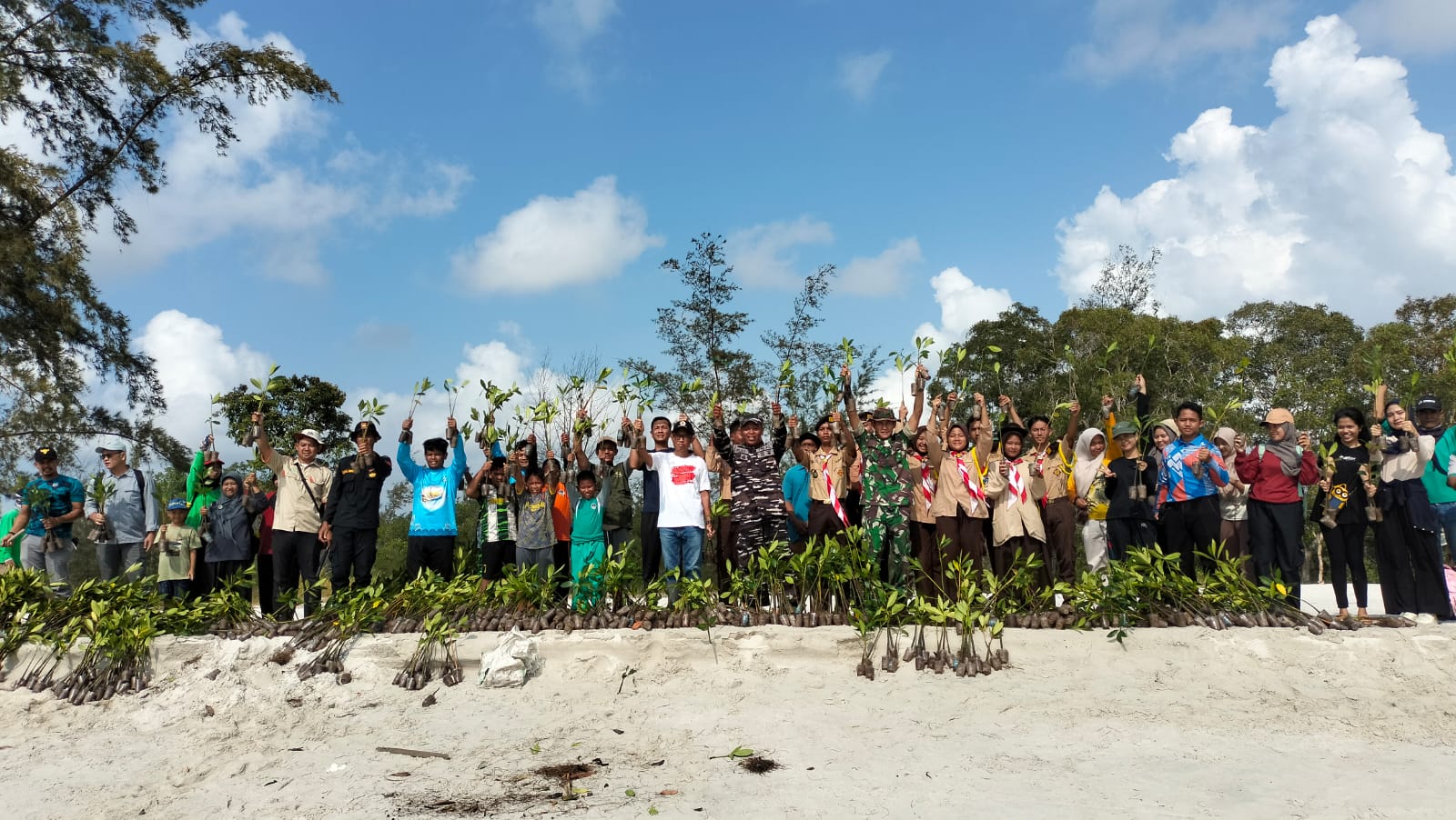 Belitung Timur Peringati Hari Mangrove Sedunia dengan Penanaman 2500 Bibit