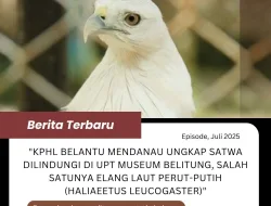 KLHK Temukan 5 Jenis Satwa Dilindungi di UPT Museum Belitung