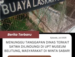 Tanggapan Dinas Terkait Satwa Dilindungi di UPT Museum Belitung Masih Menunggu