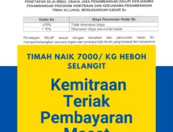 Kemitraan PT Timah dalam Krisis: Transparansi Harga dan Pencairan Dana yang Dipertanyakan