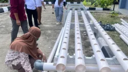 Bimbingan Kemandirian Bapas Tanjungpandan: Semangat Perempuan Tak Kalah Saing di Pelatihan Hidroponik Belitung