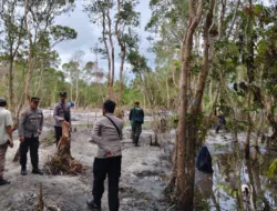 Tambang Timah Ilegal di HLP Terong Diduga Dijaga Oknum, Penambang Setor Rp500 Ribu per Minggu