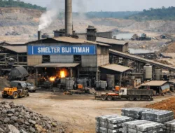 Gaji dan Pesangon Tak Dibayar, Mantan Karyawan PT BML Terpaksa Nambang Timah