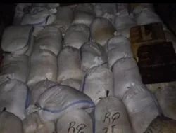 Babak Kedua Dugaan Timah Ilegal: Pajero dan Dua Truk Diamankan, Total Muatan Capai 40 Ton