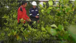 Perpres 79/2026 Jadi Tonggak Tata Kelola Baru Pertambangan PT Timah