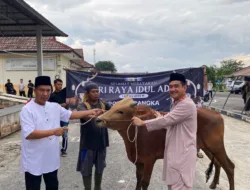 Polres Bangka Kurban 4 Sapi dan 4 Kambing, Kapolres: Momentum Perkuat Kepedulian