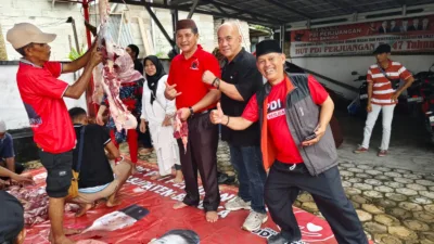 PDIP Bangka Kurban 2 Sapi, Erigustian: Kami Ingin Terus Hadir dan Berbagi untuk Masyarakat