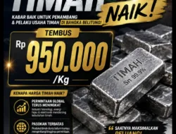 Harga Timah Tembus Rp.950.000 Perkg