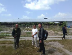 Jaga Kelestarian Alam, KPHP Perintahkan Ade Gunawan Cabut Tanaman Sawit di Hutan Lindung