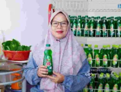 Berawal dari Manfaatkan Potensi Daun Sirih, Mimpi Bunda Fresh Menembus Pasar Kini Makin Dekat Berkat Dukungan PT TIMAH