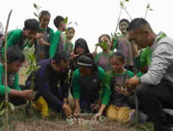 PT TIMAH Perkuat Reklamasi Lahan Bekas Tambang untuk Jaga Kelestarian Lingkungan